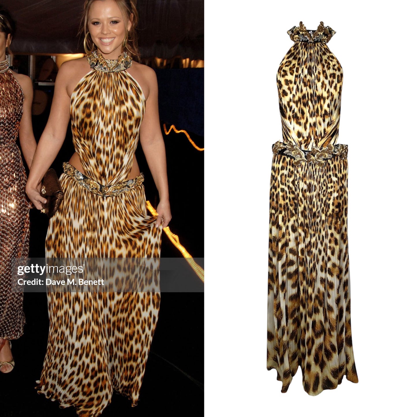 ROBERTO CAVALLI S/S 2007 RUNWAY LEOPARD DRESS